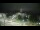 Webcam in Morganton, North Carolina, 309.2 km