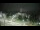 Webcam in Morganton, North Carolina, 293.4 km