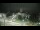 Webcam in Morganton, Carolina del Norte, 202.9 km