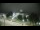 Webcam in Morganton, North Carolina, 111.3 mi away