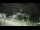 Webcam in Morganton, North Carolina, 38.8 mi away