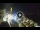 Webcam in Sant'Agata di Puglia, 22.7 mi away
