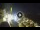 Webcam in Sant'Agata di Puglia, 22.7 mi away