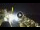 Webcam in Sant'Agata di Puglia, 67.7 km