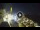 Webcam in Sant'Agata di Puglia, 22.9 mi away