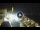 Webcam in Sant'Agata di Puglia, 22.7 mi away