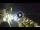Webcam in Sant'Agata di Puglia, 62 km