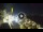 Webcam in Sant'Agata di Puglia, 22.7 mi away