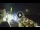 Webcam in Sant'Agata di Puglia, 22.7 mi away