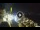 Webcam in Sant'Agata di Puglia, 22.7 mi away
