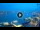 Webcam in Venice, 0.2 mi away