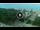 Webcam in Alba Adriatica, 8.9 mi away