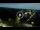 Webcam in Alba Adriatica, 29.7 km entfernt