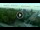 Webcam in Alba Adriatica, 8.9 mi away