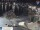 Webcam in Primošten, 6.8 mi away
