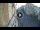 Webcam in Teggiano, 40.4 km