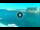 Webcam in St. Julians, 1.4 km
