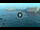 Webcam in St. Julians, 0.1 km entfernt