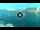 Webcam in St. Julians, 0.3 km