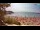 Webcam in Split, 6 mi away