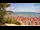 Webcam in Split, 1.2 km entfernt