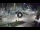 Webcam in Jesolo, 18.5 mi away