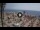 Webcam in Albenga, 0.2 km