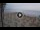 Webcam in Albenga, 0.4 mi away