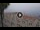 Webcam in Albenga, 0.5 km