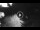 Webcam in Praiano, 3.1 km