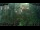 Webcam in Nakhon Ratchasima (Korat), 823.6 mi away
