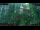 Webcam in Nakhon Ratchasima (Korat), 84.9 mi away