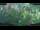Webcam in Nakhon Ratchasima (Korat), 1172.5 km entfernt