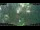 Webcam in Nakhon Ratchasima (Korat), 618.9 km
