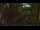 Webcam in Nakhon Ratchasima (Korat), 669.6 km entfernt
