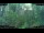 Webcam in Nakhon Ratchasima (Korat), 307.8 mi away