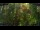 Webcam in Nakhon Ratchasima (Korat), 83.1 mi away