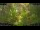 Webcam in Nakhon Ratchasima (Korat), 552 km entfernt