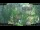 Webcam in Nakhon Ratchasima (Korat), 327.9 mi away