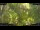 Webcam in Nakhon Ratchasima (Korat), 101.3 mi away