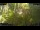 Webcam in Nakhon Ratchasima (Korat), 101.3 mi away