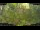 Webcam in Nakhon Ratchasima (Korat), 520.6 km entfernt