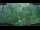 Webcam in Nakhon Ratchasima (Korat), 84.5 mi away