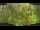 Webcam in Nakhon Ratchasima (Korat), 219 km