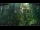 Webcam in Nakhon Ratchasima (Korat), 307.8 mi away