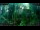 Webcam in Nakhon Ratchasima (Korat), 871.2 km entfernt