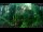 Webcam in Nakhon Ratchasima (Korat), 315.3 mi away