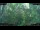Webcam in Nakhon Ratchasima (Korat), 128.4 mi away