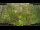 Webcam in Nakhon Ratchasima (Korat), 797.9 km