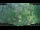 Webcam in Nakhon Ratchasima (Korat), 889.5 km